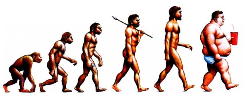 evolution of obesity