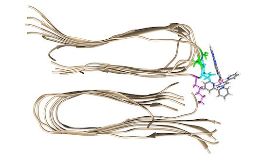 fluorescent dye molecule binds to a second binding site on the amyloid beta protein fibril