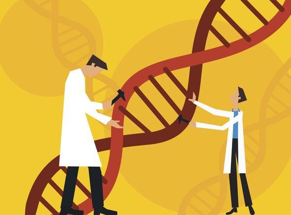 Test genetici: devo fare il test per il rischio di Alzheimer?