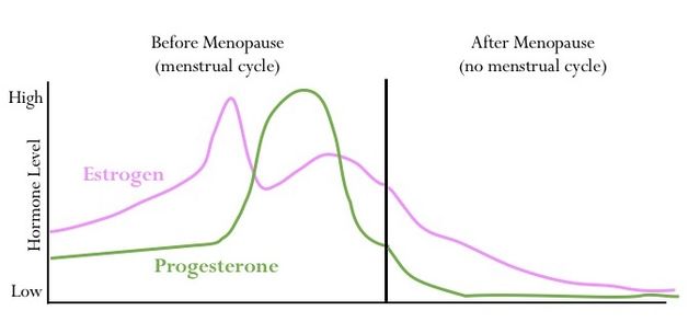 hormone and progesterone with menopuse