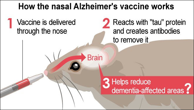 how nasal spray vaccine works