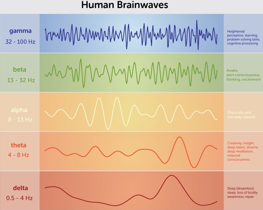 human brainwaves chart