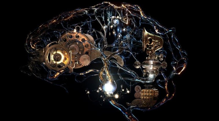 inside the brain