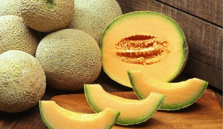 melon contains antioxidant superoxide dismutase