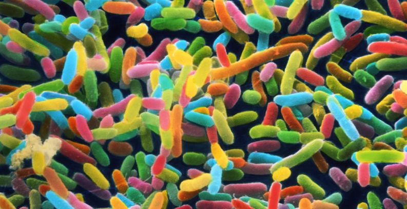 microbiome