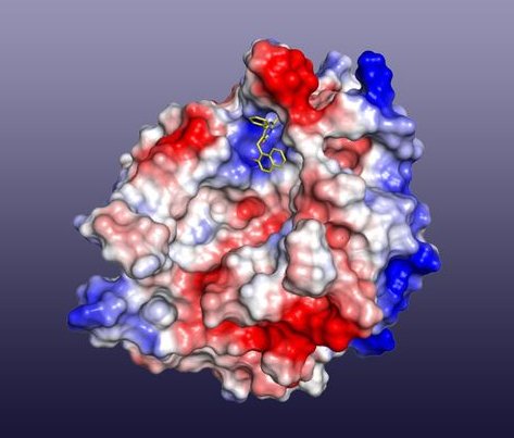 Piccola molecola blocca la diffusione di proteina tossica legata all'Alzheimer