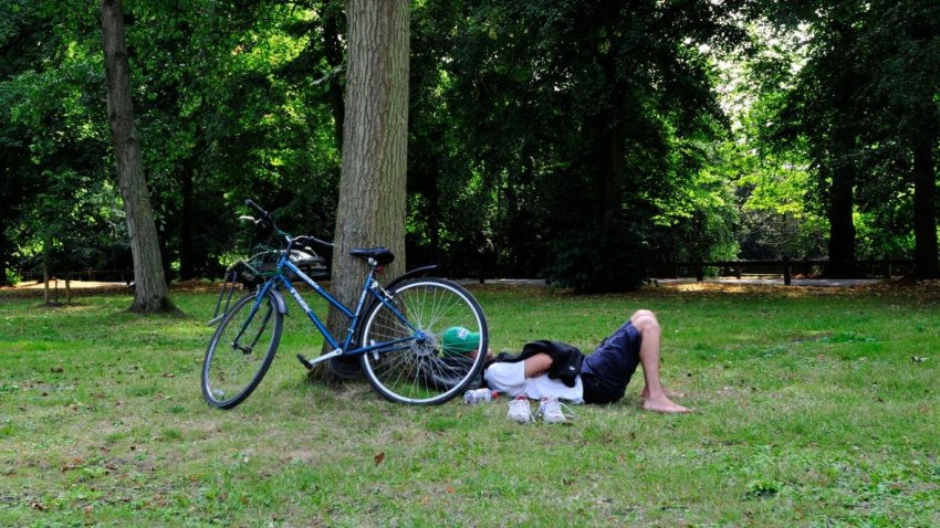 napping after exercise boosts memory