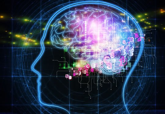 La neuroscienza promuove l'autoconoscenza? 4 miti demoliti dal filosofo