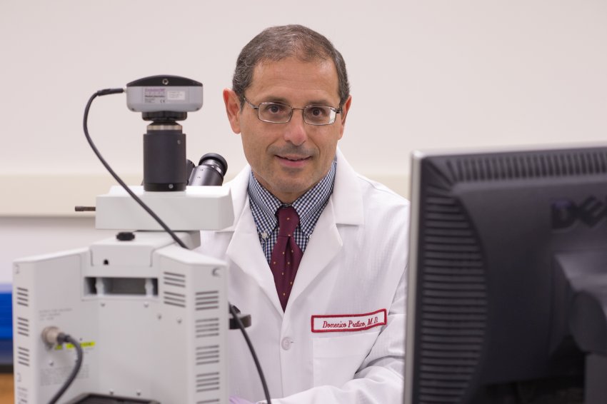 dr domenico pratico