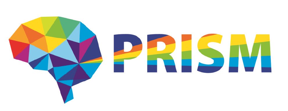 prism project logo