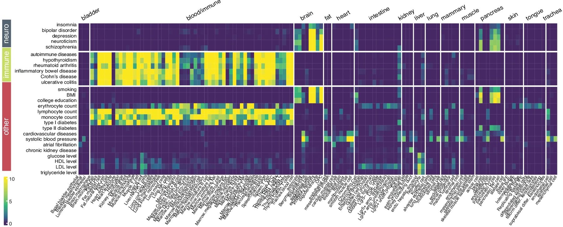 seismic cell type trait assoc