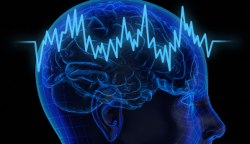 Meccanismo spiega come le crisi epilettiche determinano perdita di memoria e Alzheimer