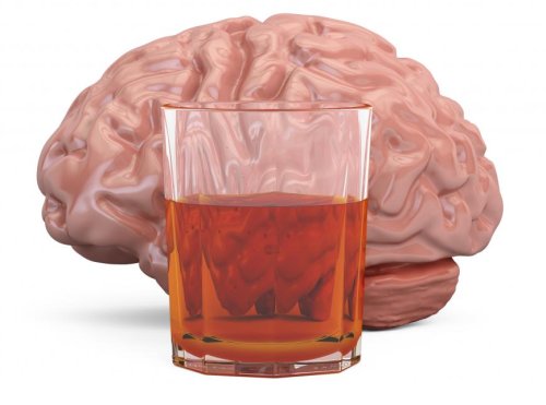 L'alcol «fa più male al cervello della marijuana»
