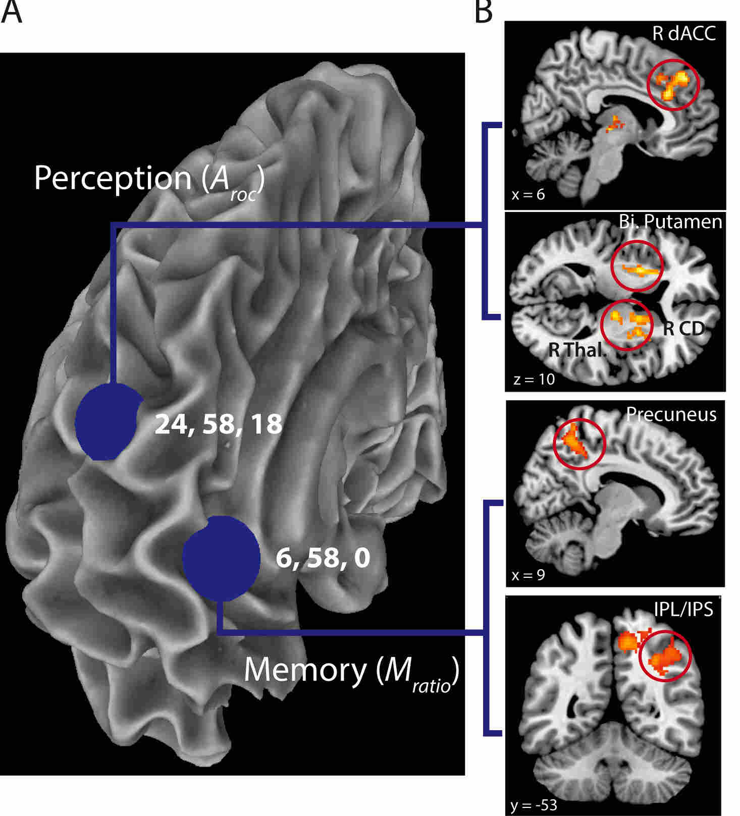 Le connessioni che determinano una introspezione accurata