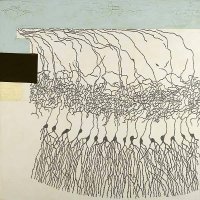 Katherine Sherwood 'One in 100 Billion'